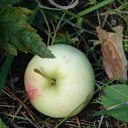 ���� �����, ����������, 76 ��� - ��������� 22 �������� 2011