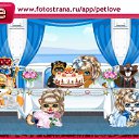  , , 40  -  24  2010   PetLove