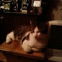 ���� ������, ������� - ��������� 24 ����� 2010 � ������ ���� ���