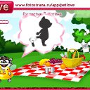  , -, 31  -  15  2010   PetLove