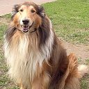 ���� ����/�������.62��., ��������, 39 ��� - ��������� 20 ������ 2010 � ������ ���� ����������