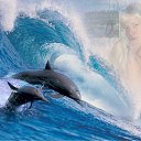  Penelopaxxx,  -  17  2011    