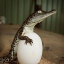 ���� ���������, �����������, 60 ��� - ��������� 15 ������� 2011 � ������ �������