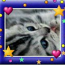���� ����, ������-��-����, 23 ���� - ��������� 4 ���� 2011 � ������ �PetLove�