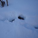 ���� �������, �������, 38 ��� - ��������� 11 ��� 2010 � ������ ���� ����� ����� �������