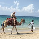  ok, --, 44  -  10  2010    2010