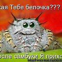 ���� ��������, �������� - ��������� 20 ����� 2012 � ������ �������� ��������