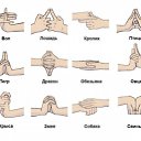 ���� Ms.���������, ������ - ��������� 8 ������� 2011 � ������ ������� ��� ��������