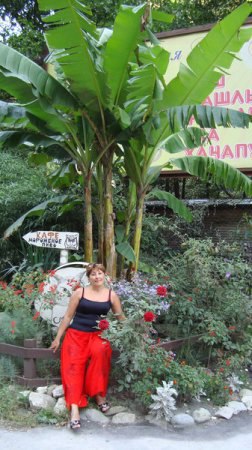 , 52, 