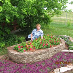 ���� �������, ����������, 66 ��� - ��������� 24 ���� 2012