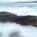 ���� ���������- ���� �������� !!, ������ - ��������� 11 ������� 2013 � ������ �11 ������� 2013�!!!!!�