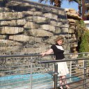 ������� � �������(�������) �� ������� ���� ����������