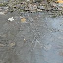 ���� �����.....����., �������, 43 ���� - ��������� 28 ������ 2011 � ������ ���� ����������