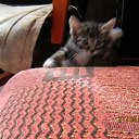 �������� �� ����� �� ������� ���������