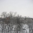  , , 33  -  15  2009       ?