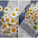  Back To Real Life, , 57  -  1  2012    