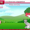  , -, 25  -  7  2010   PetLove