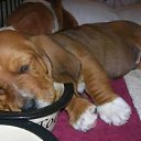  Lika,  -  3  2010      :)