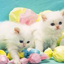 ���� ����� - ���������� ��������!!!, �����������, 56 ��� - ��������� 27 ������ 2010 � ������ �����Ȼ