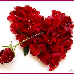 ���� ����������, �������, 45 ��� - ��������� 14 �������� 2012