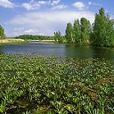 ���� ����. ��������� �� ��!, ������, 72 ���� - ��������� 13 ������ 2011 � ������ ��������