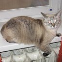 ���� �������, ������ �������� - ��������� 7 ���� 2013 � ������ ���� ����������