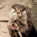 ���� Red, ������� - ��������� 16 ������ 2011 � ������ ���������������� :)�