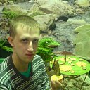 ���� ��������� ���, ���������, 38 ��� - ��������� 29 ���� 2012 � ������ ���� ����������