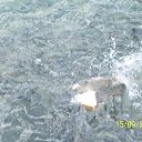 ���� ���������, ���������, 45 ��� - ��������� 17 ������ 2011