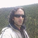  , --, 50  -  3  2009    