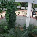 ���� ������, �����, 43 ���� - ��������� 12 ����� 2013 � ������ ���� ����������