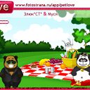 ���� ����, ������, 33 ���� - ��������� 9 ������� 2010 � ������ �PetLove�