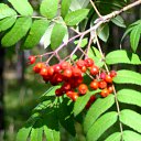 ���� �������, ������� - ��������� 10 ������ 2010 � ������ �� ����...�