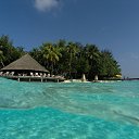 ���� �������, �������, 54 ���� - ��������� 8 ������ 2011 � ������ ���� ����������