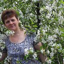 ���� ������, ���������, 61 ��� - ��������� 24 ����� 2013 � ������ ���� ����������