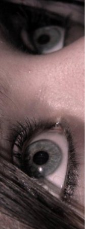 ���� ����, ������ ��������, 31 ��� - ��������� 4 ������ 2010