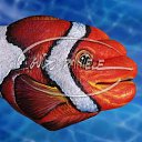 ���� ����. ��������� �� ��!, ������, 72 ���� - ��������� 1 ��� 2012 � ������ �Body art�