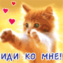 ���� ����, ������ �����, 57 ��� - ��������� 27 �������� 2011 � ������ �PetLove�