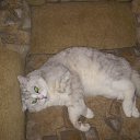 ���� �������, �������, 48 ��� - ��������� 28 ���� 2010 � ������ ���� ��� ��ʻ