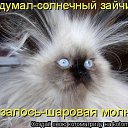 ���� �����, ��������, 67 ��� - ��������� 5 ������� 2013 � ������ ���� ����������