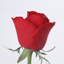 ���� Val, ������, 51 ��� - ��������� 1 ������ 2011 � ������ �������
