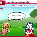 , , 25  -  12  2010   PetLove