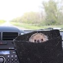 ���� �������, ������-��-���� - ��������� 29 ����� 2013 � ������ ���� ����������