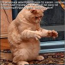 ���� �����, �������, 56 ��� - ��������� 10 ���� 2011 � ������ �����