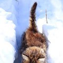 ���� �����, �����-��������� - ��������� 6 ������ 2010 � ������ �������