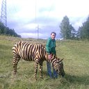 ���� ���������, ����, 42 ���� - ��������� 7 ������� 2011 � ������ ������������� ���� � ��������