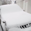  .,  -  17  2009   