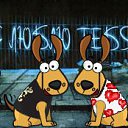 ���� �������, ���������, 34 ���� - ��������� 22 ������ 2009