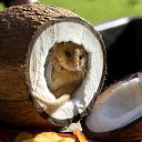 ���� �������, �����-���������, 38 ��� - ��������� 9 ������ 2010 � ������ �����������