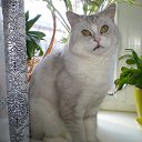 ���� �������, �������, 48 ��� - ��������� 28 ���� 2010 � ������ ���� ��� ��ʻ